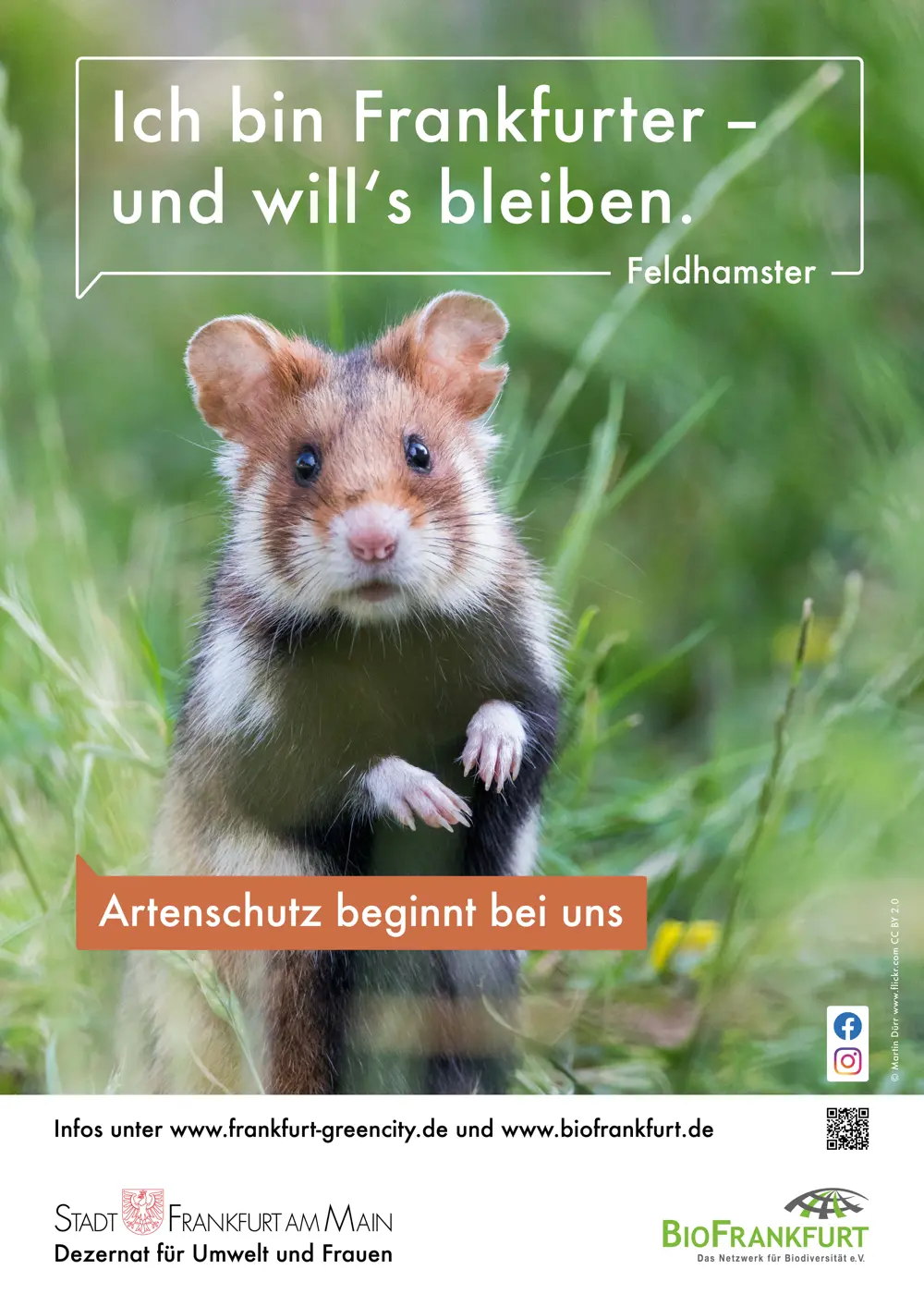 Ein Feldhamster steht im Gras und blickt in die Kamera. Text im Bild: ‚Ich bin Frankfurter – und will’s bleiben. Feldhamster‘ und ‚Artenschutz beginnt bei uns‘. Logos der Stadt Frankfurt am Main (Dezernat für Umwelt und Frauen) und von BioFrankfurt, dazu Webadressen und Social-Media-Symbole.