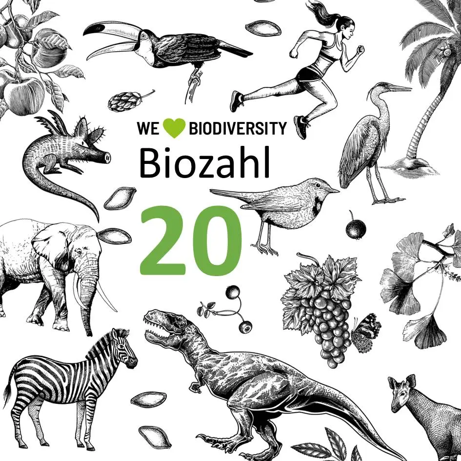 Illustration zur Biodiversität mit verschiedenen Tieren, Pflanzen und einer laufenden Person, ergänzt durch den Schriftzug ‚We ♥ Biodiversity – Biozahl 20‘.