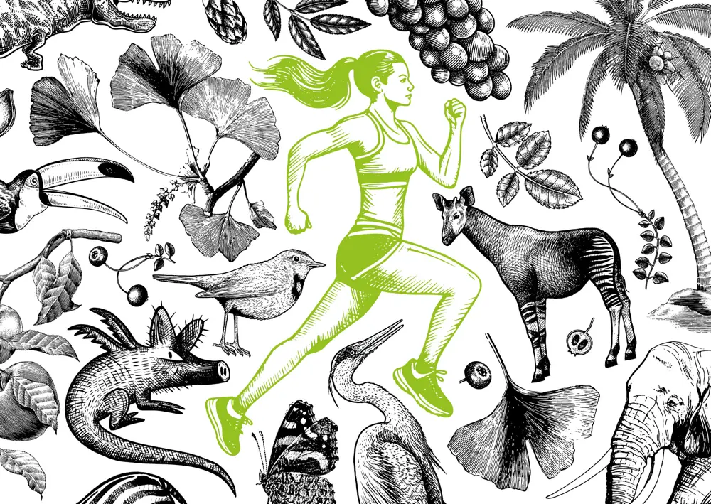 Illustration Läuferin