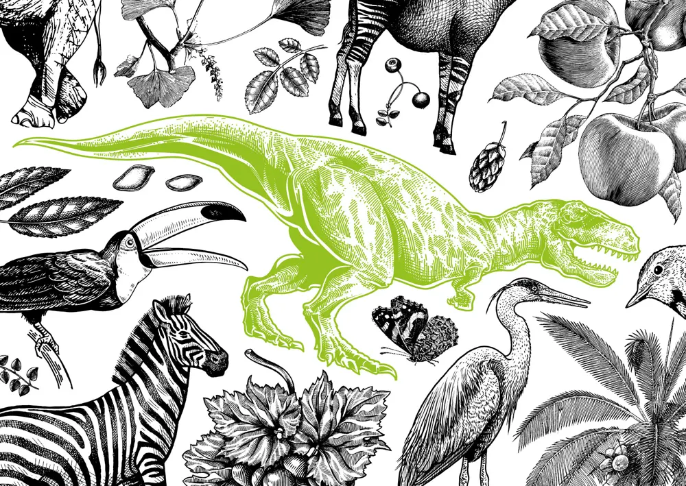 Illustration Dinosaurier