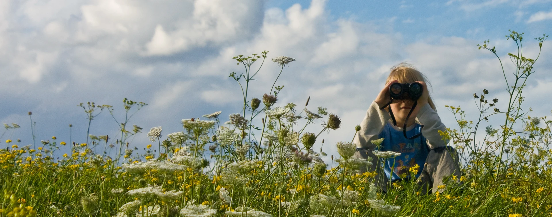 Kind sitzt in einer Wiese mit gelben und weißen Blumen und schaut durch ein Fernglas in Richtung Kamera bei bewölktem Himmel.