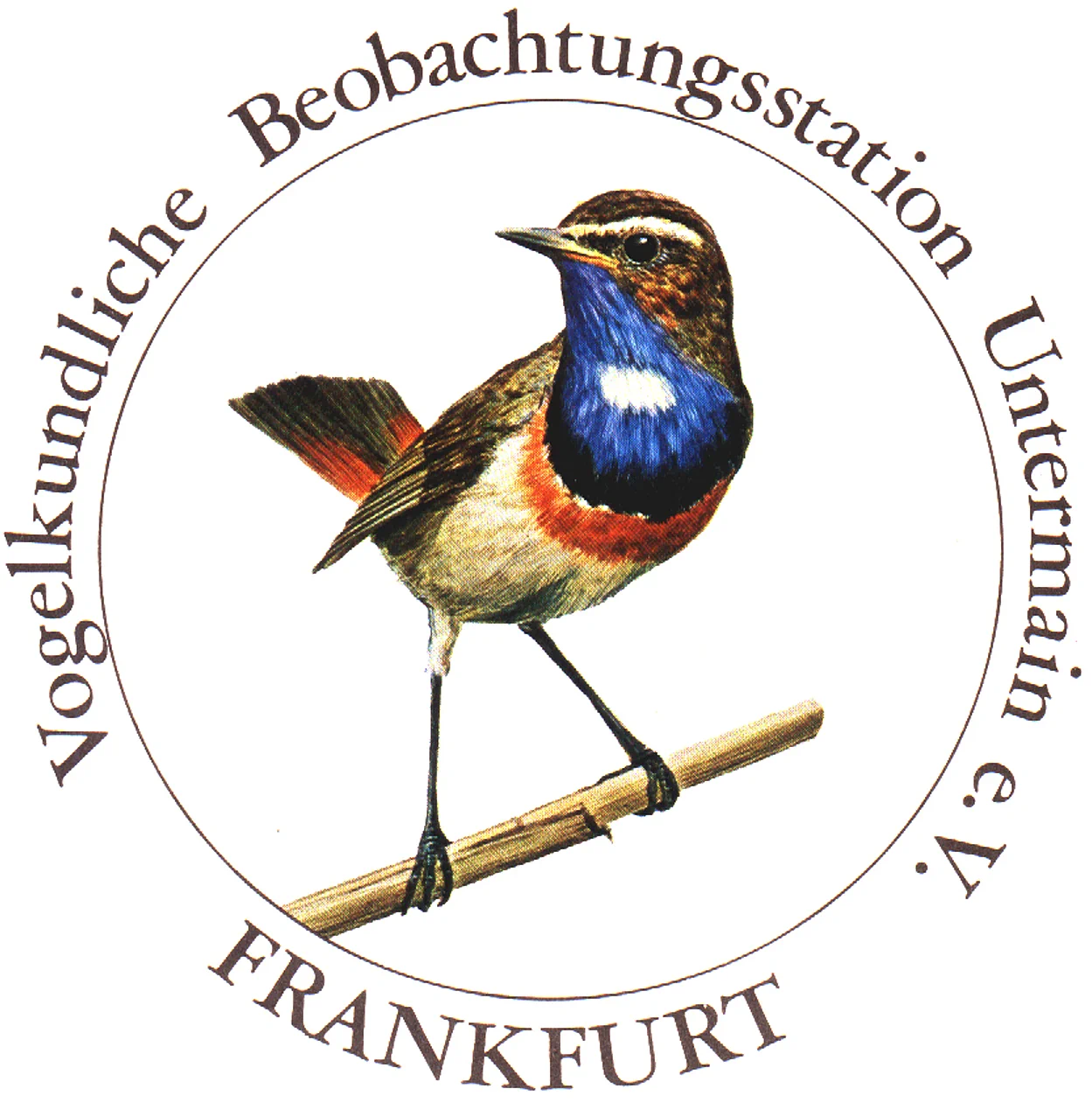 Logo: Vogelkundliche Beobachtunsstation Untermain e.V. FRankfurt