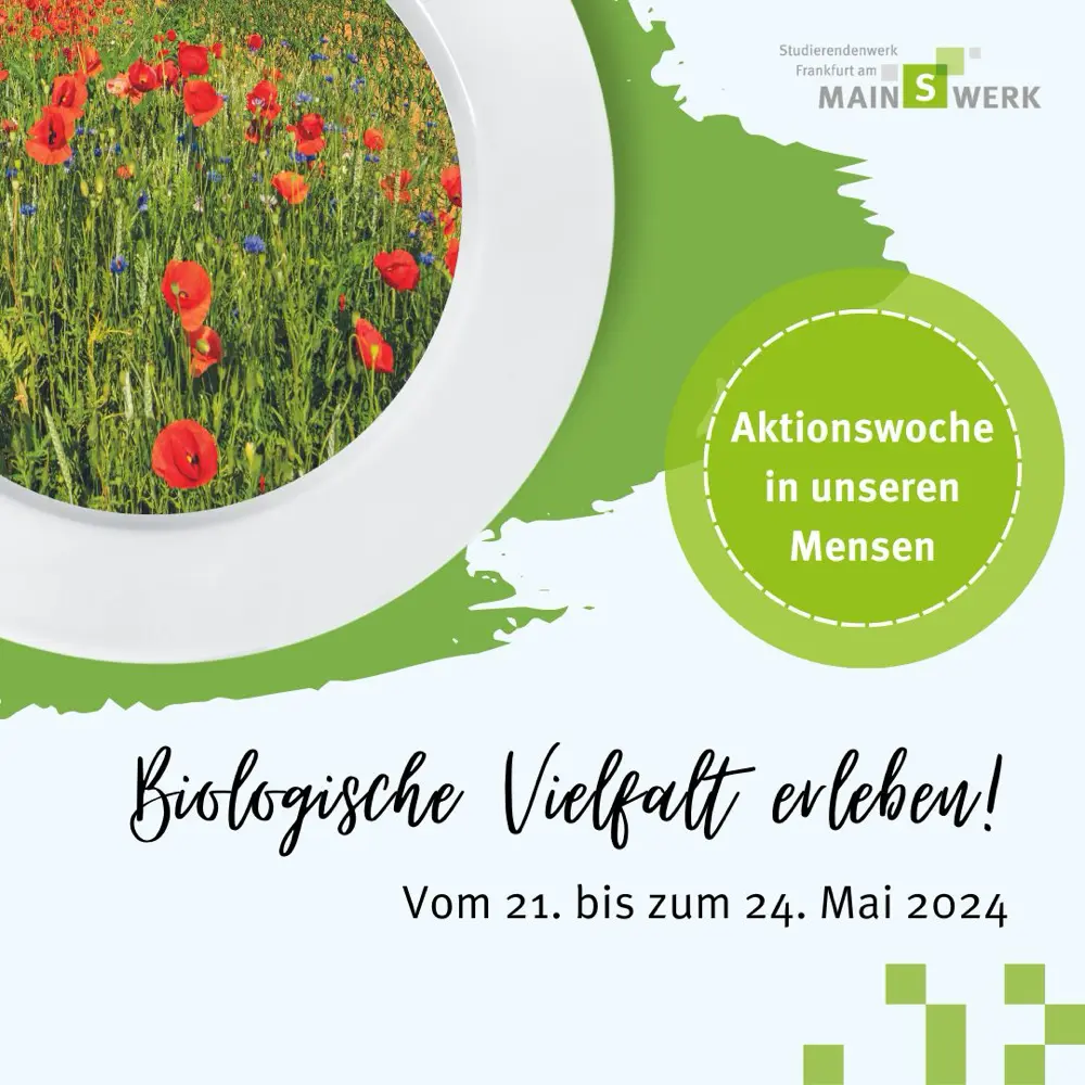 Teller mit einer Wiese voller roter Mohnblumen und Kornblumen, Text: ‚Biologische Vielfalt erleben! Aktionswoche in unseren Mensen, vom 21. bis zum 24. Mai 2024‘, Logo des Studierendenwerks Frankfurt am Main (MainSWerk).