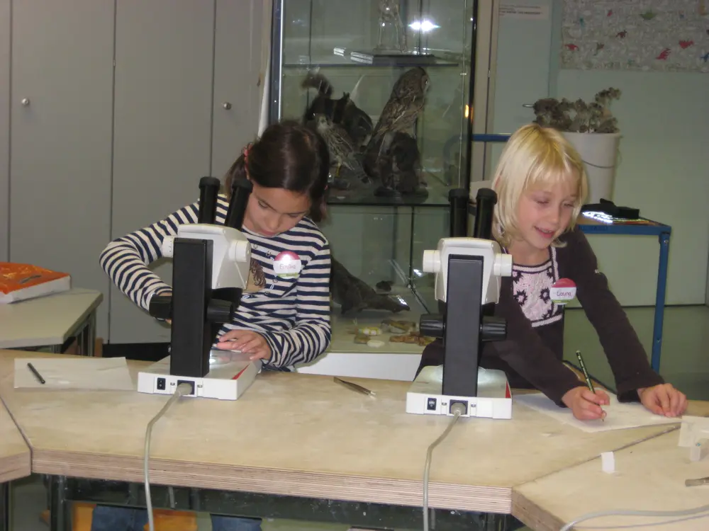 Zwei Mädchen sitzen an einem Tisch mit Mikroskopen und schreiben oder zeichnen auf Papier, im Hintergrund eine Vitrine mit ausgestopften Vögeln.