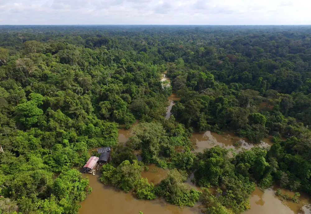 Luftaufnahme eines tropischen Regenwaldes mit einem verzweigten Flusssystem und zwei kleinen Bootshäusern am Ufer. Dichter, grüner Wald erstreckt sich bis zum Horizont.