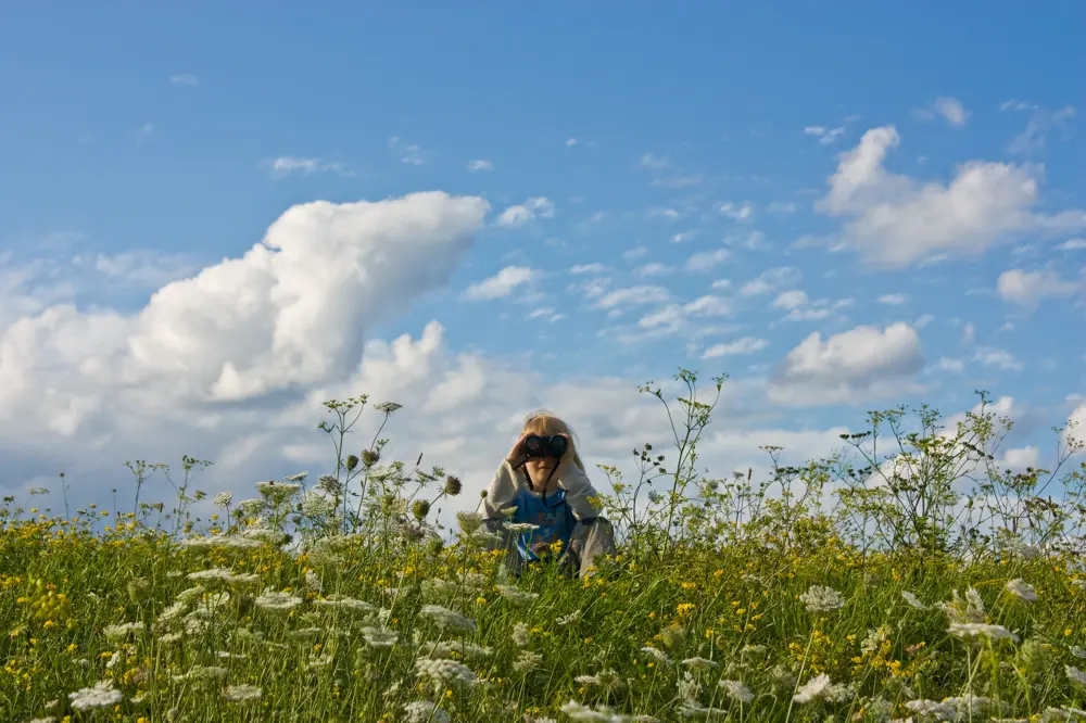 Kind mit Fernglas sitzt inmitten einer blühenden Sommerwiese und blickt in die Ferne, darüber ein weiter Himmel mit weißen Wolken.