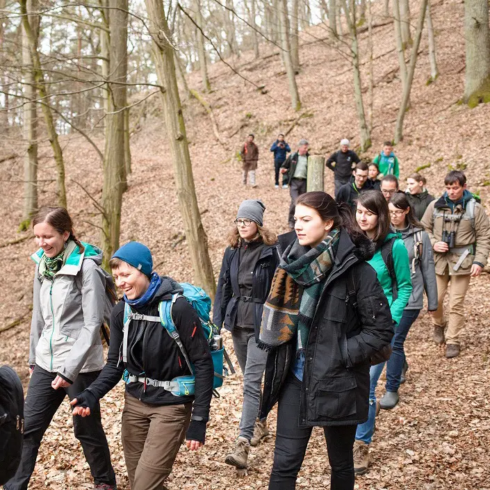 Gruppe junger Erwachsener bei einer geführten Wanderung durch einen laubabwerfenden Wald im Frühling oder Herbst; die Teilnehmenden tragen Outdoor-Kleidung und Rucksäcke.