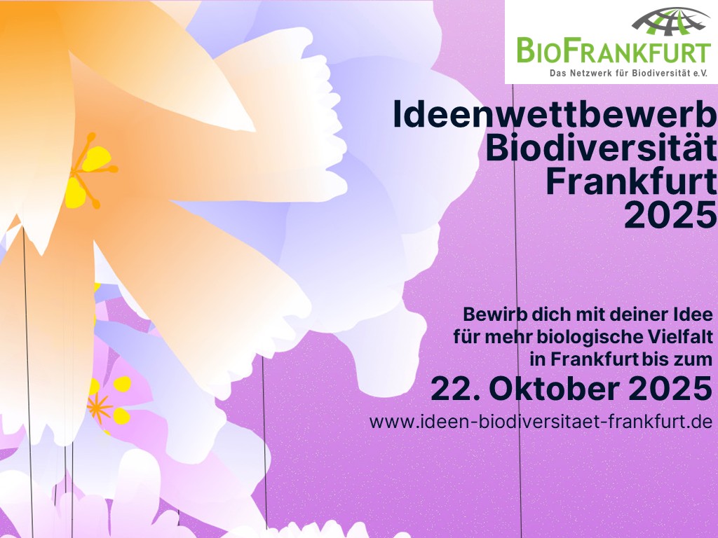 Plakat zum Ideenwettbewerb Biodiversität mit Blumen und Bewerbungsschluss 22. Oktober 2025