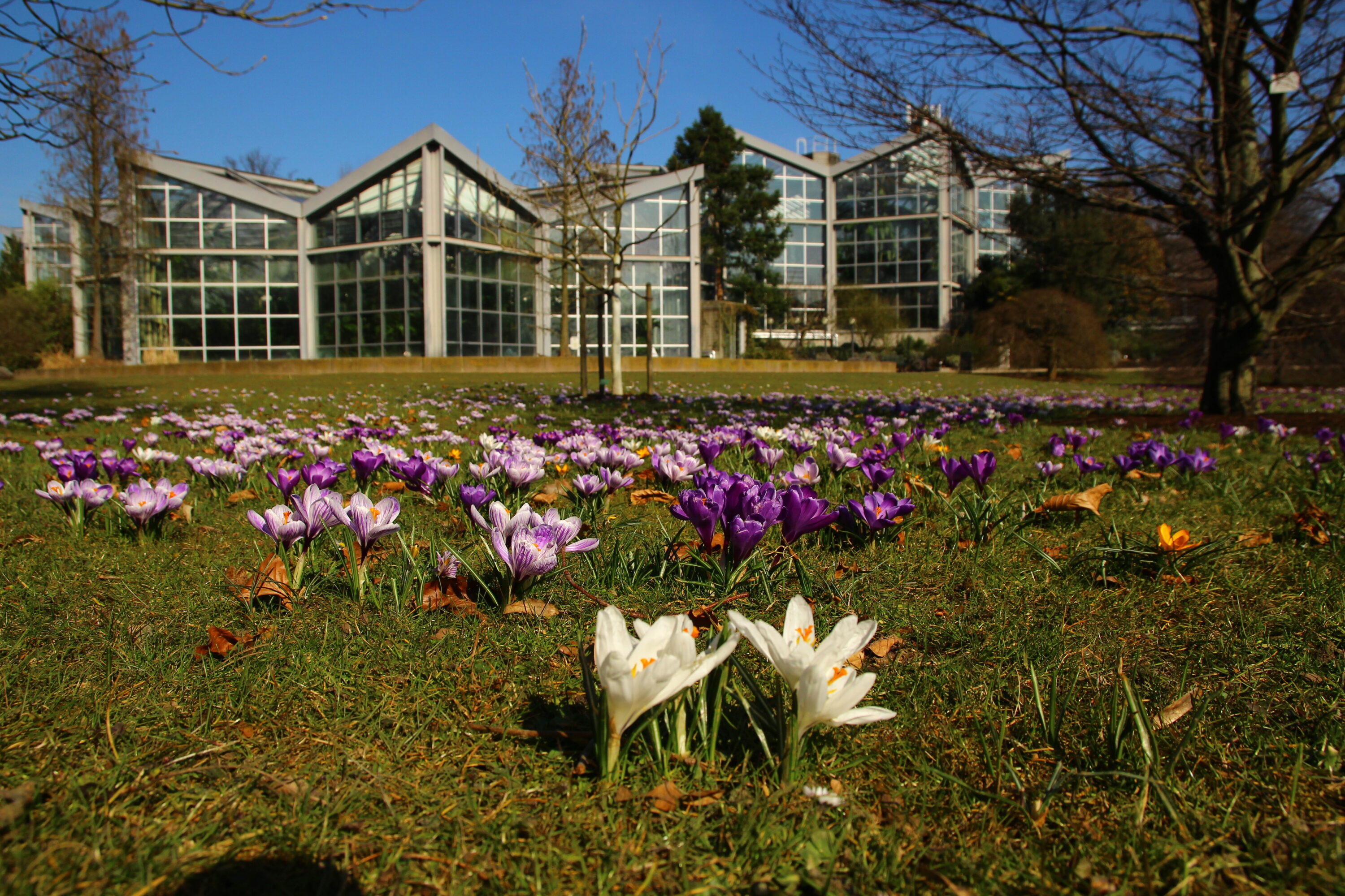 Palmengarten Frankfurt