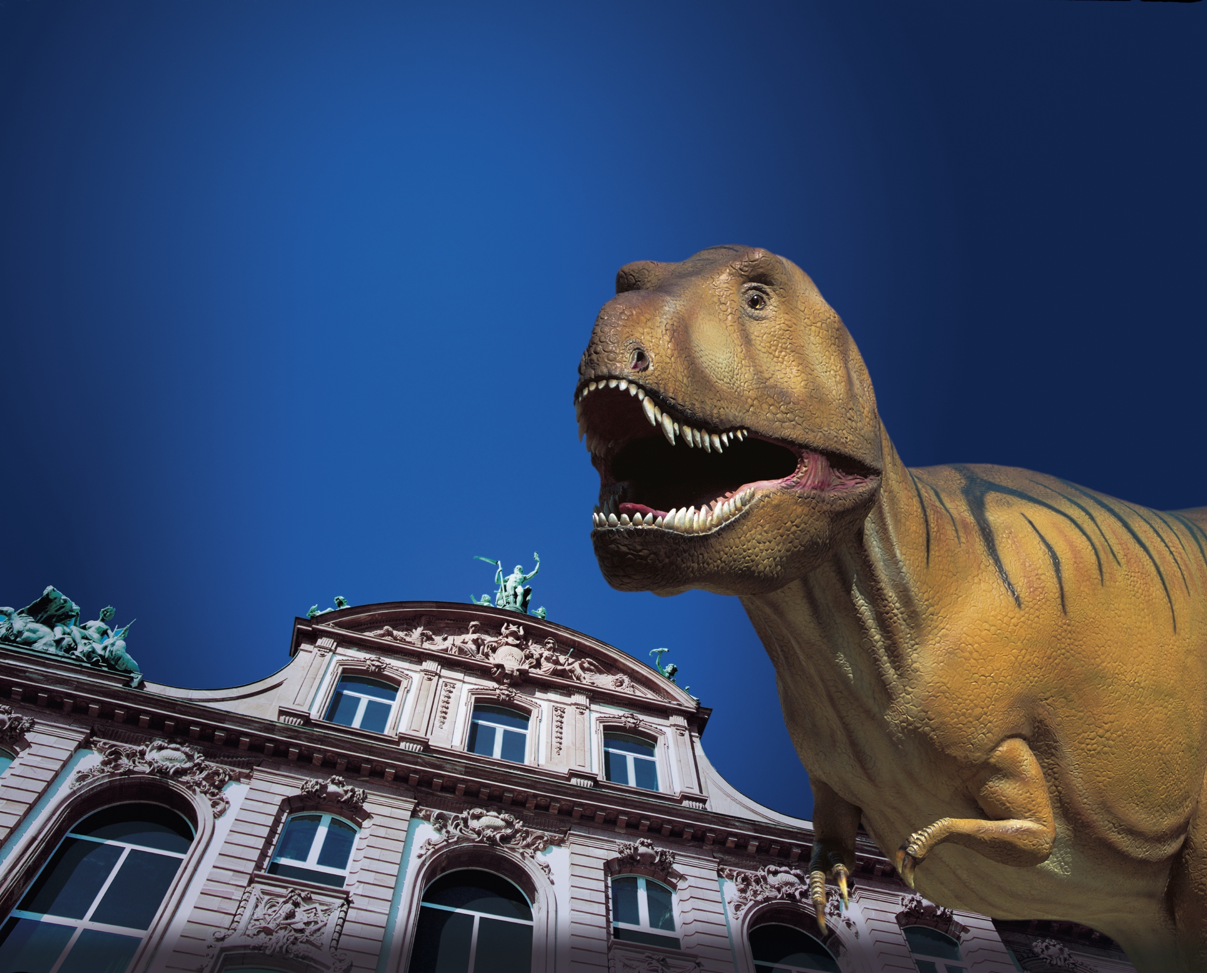 Senckenberg Naturmuseum