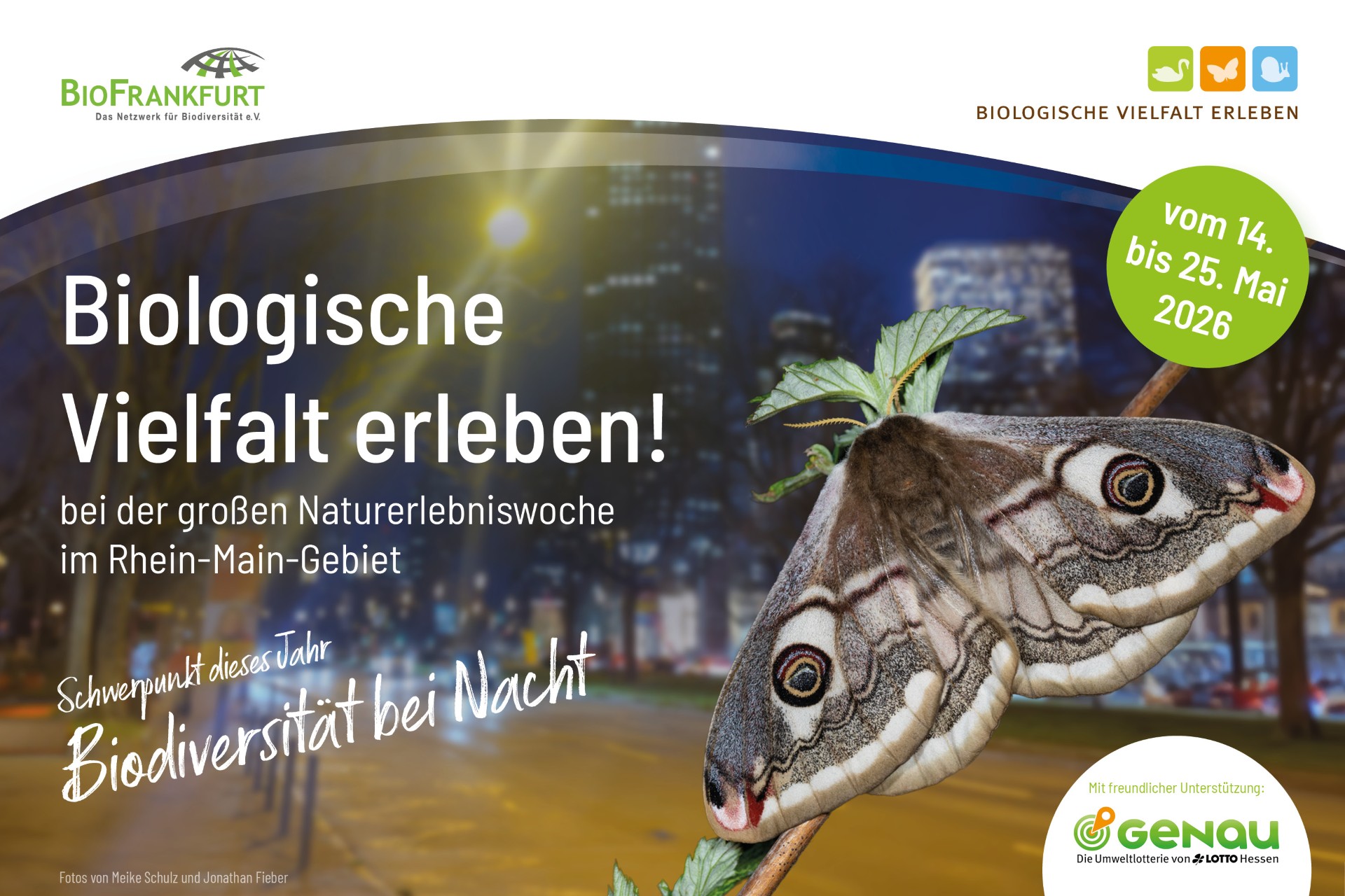 Kanufahrer in der Natur auf dem Main